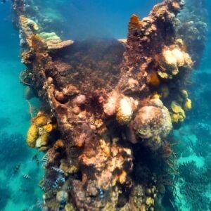 REEFS AND WRECKS